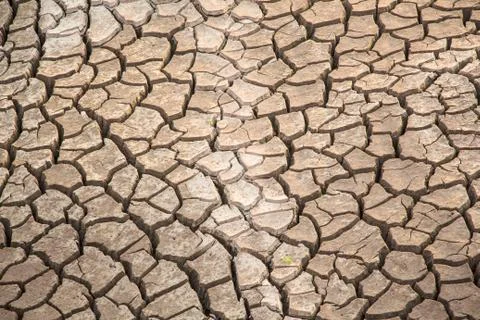 Dry crack earth Stock Photos