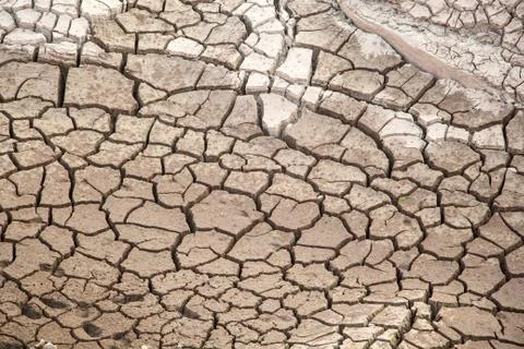 Dry crack earth Stock Photos
