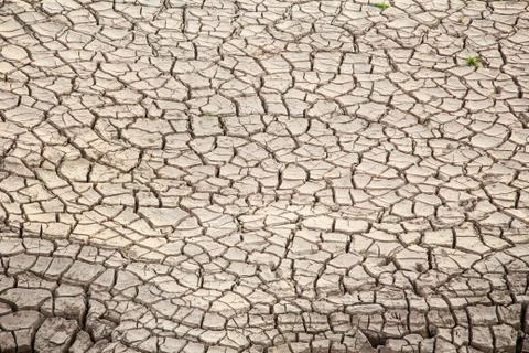 Dry crack earth Stock Photos