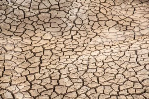 Dry crack earth Stock Photos