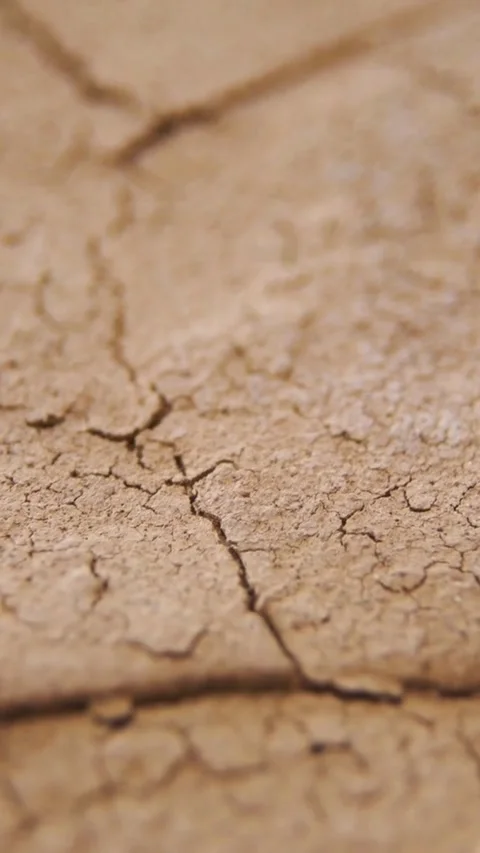 Dry cracked brown soil ground showing drought details texture Video stock 334168816