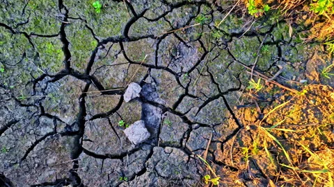 Dry With Cracked Clay Soil. Texture Natural. Tracking Shot Video stock 296573000