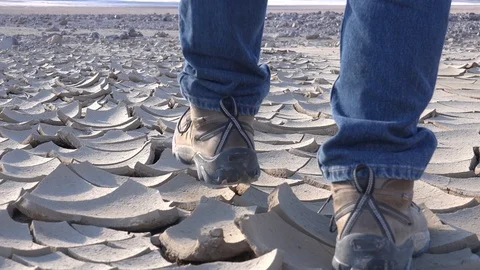 Dry cracked earth, Dawn light Stock Footage 105970375