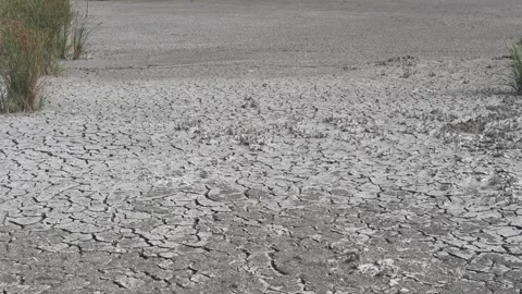 Dry cracked earth in a desolate arid landscape Stock Footage 318281022