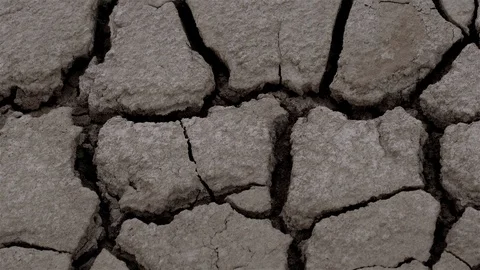 Dry cracked earth Stock Footage 123140052
