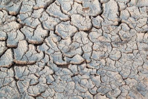 Dry cracked earth Stock Photos