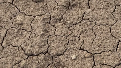 Dry cracked earth soil texture background Video stock 309243729
