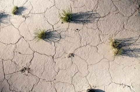 Dry cracked earth with sparse grass patches and shadows in sunlight Stock Photos