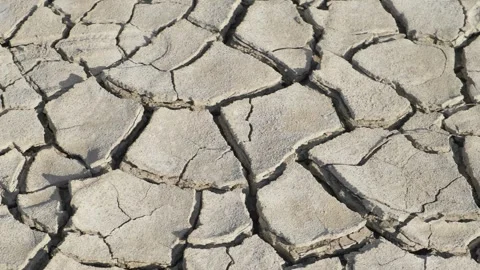 Dry cracked earth surface, drought problems 스톡 동영상 301421277