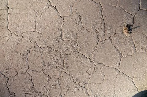 Dry cracked earth surface with visible texture and patterns Stock Photos