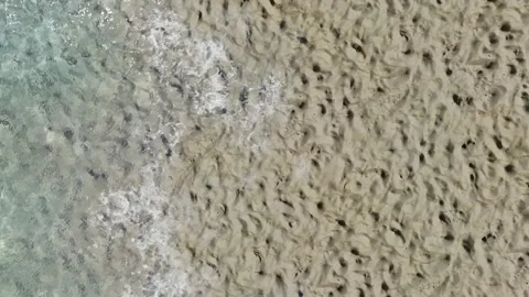 Dry Cracked Earth Texture Stock Footage 319884498