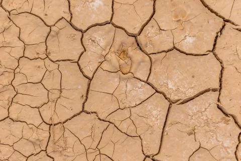 Dry cracked earth texture Stock Photos