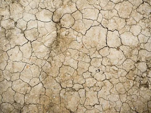 Dry cracked earth texture, vector background Illustrazione stock