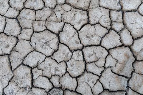 Dry cracked farm fields close up view from top angle 库存照片