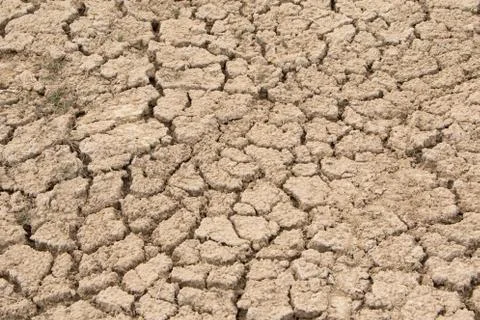 Dry, cracked ground in the desert. Stock Photos
