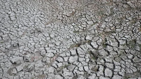 Dry, cracked ground due to prolonged drought Stock Footage 343826646
