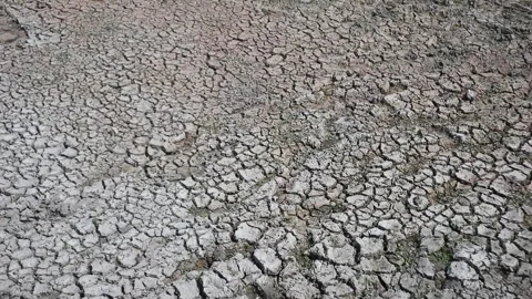 Dry, cracked ground due to prolonged drought Stock Footage 343826647