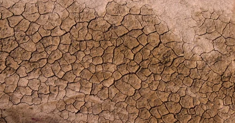 Dry cracked ground Stock Footage