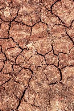Dry cracked ground. Stock Photos