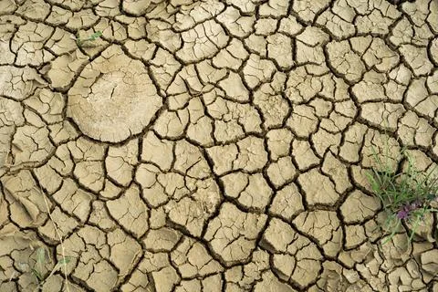 Dry cracked ground Foto stock