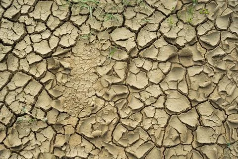 Dry cracked ground Foto stock