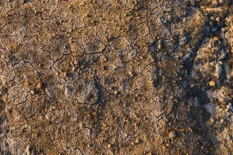 Dry Cracked Ground Texture 스톡 사진