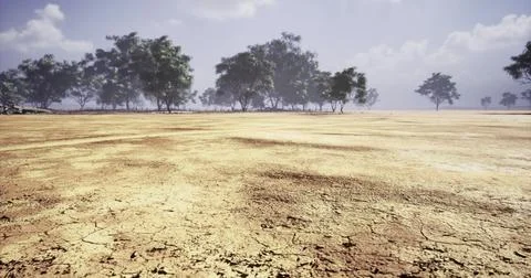 Dry cracked land with sparse trees under bright sky in arid landscape Stock Illustration