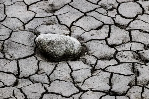 Dry cracked mud close up Stock Photos