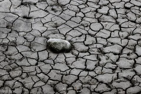 Dry cracked mud close up Stock Photos