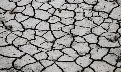 Dry cracked mud close up Stock Photos