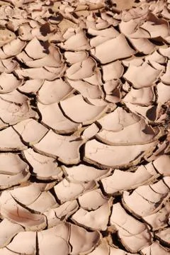 Dry, cracked mud Stock Photos