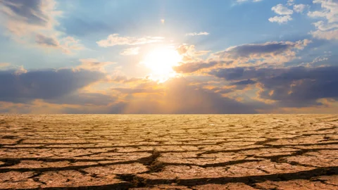 Dry cracked saline land at the dramatic sunset Vídeos de archivo 155107915