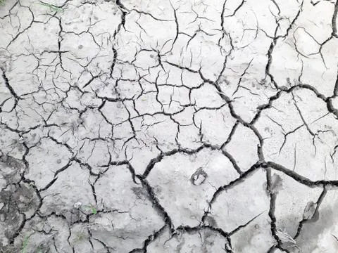 Dry cracked soil background. Gray parched dirt. Summer drought. Deserts texture Stock Photos