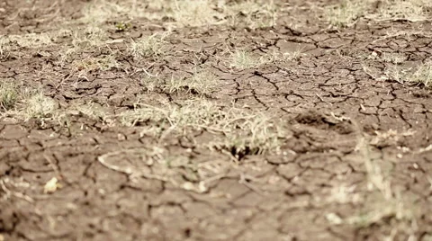 Dry cracked soil in a desert Stock Footage 66762286