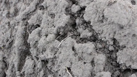Dry cracked soil Stock Footage 76393404