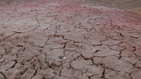 Dry cracked soil Stock Footage 201170325