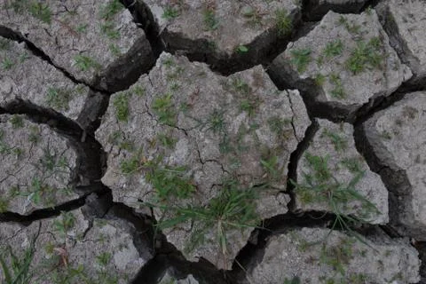 Dry cracked soil Stock Photos
