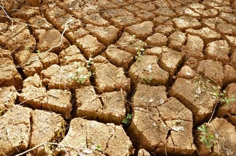 Dry cracked soil Stock Photos