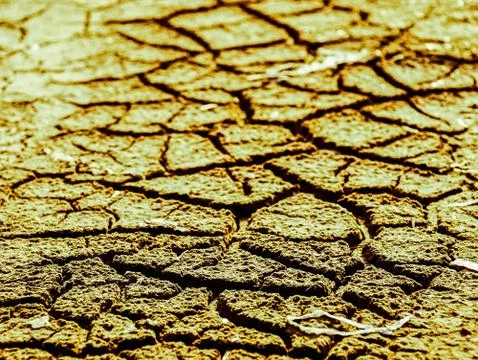 Dry cracked soil Stock Photos