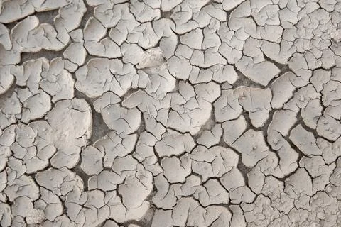 Dry cracked soil surface forms abstract natural pattern under sunlight. Texture Stockfoto's