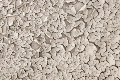 Dry cracked soil surface forms abstract natural pattern under sunlight. Texture Stock Photos