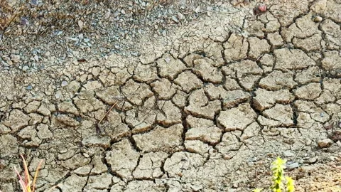 Dry cracked soil surface showing rugged earth texture in rural Stock Footage 344420289