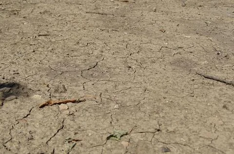Dry cracked soil texture during drought Fotos Stock