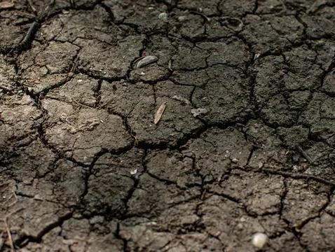 Dry Cracked Soil Texture Ground Surface During Drought Season Close-Up 写真素材