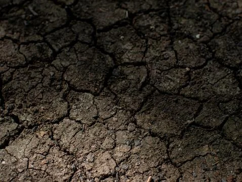 Dry Cracked Soil Texture Ground Surface During Drought Season Close-Up Stock Photos