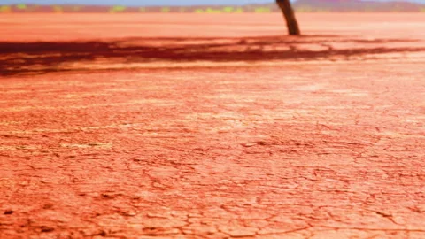 Dry cracked soil with a tree casting a shadow in a distant landscape Stock Footage 344874072