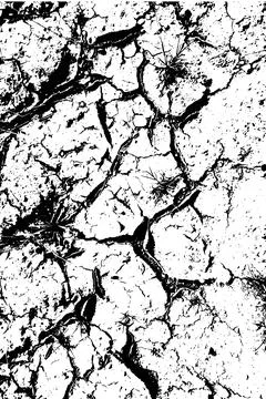 Dry, cracked texture background. Black cracks and speckles Vector. Stock Illustration