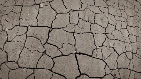 Dry cracks in the land. Drought, Global warming, Climate change concept. Stock Footage 169794134