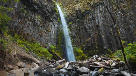 Dry Creek Falls plunging through basalt gorge in lush Oregon forest Stock Footage 345308372
