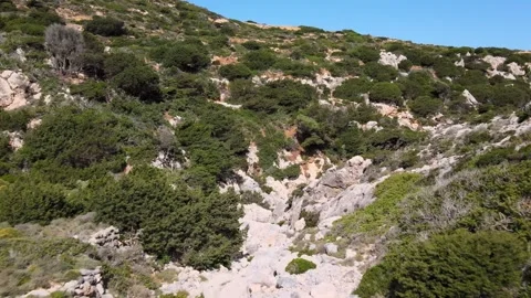 Dry creek river bed Video stock 267005088